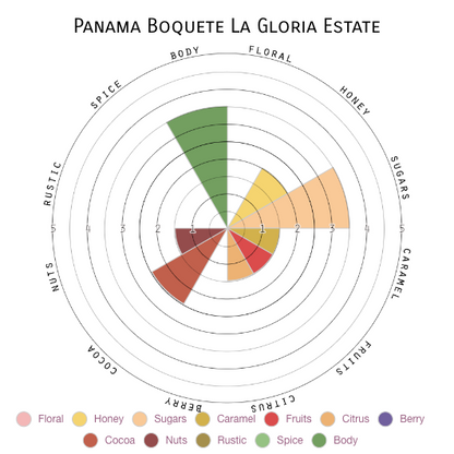 100% Panama - Single Origin Coffee